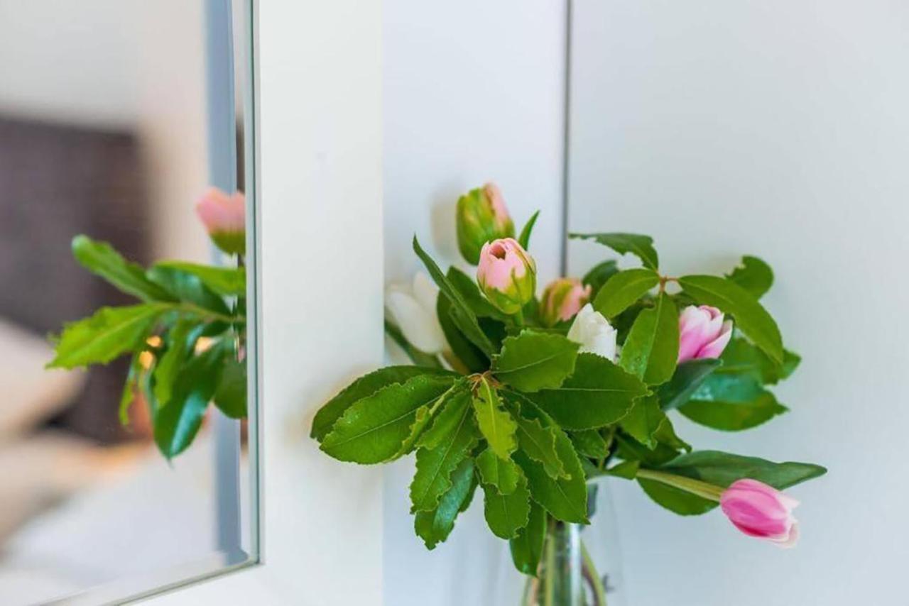 Dubrovnik: Apartment Quiet Corner Εξωτερικό φωτογραφία